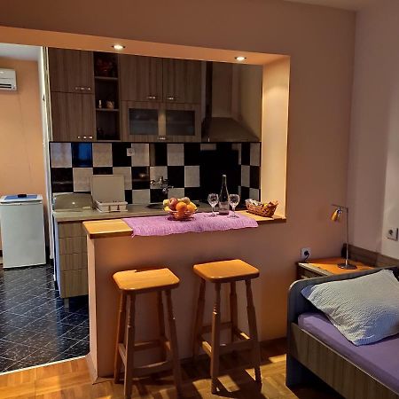 Apartman Ristic นิชกา บานยา ภายนอก รูปภาพ