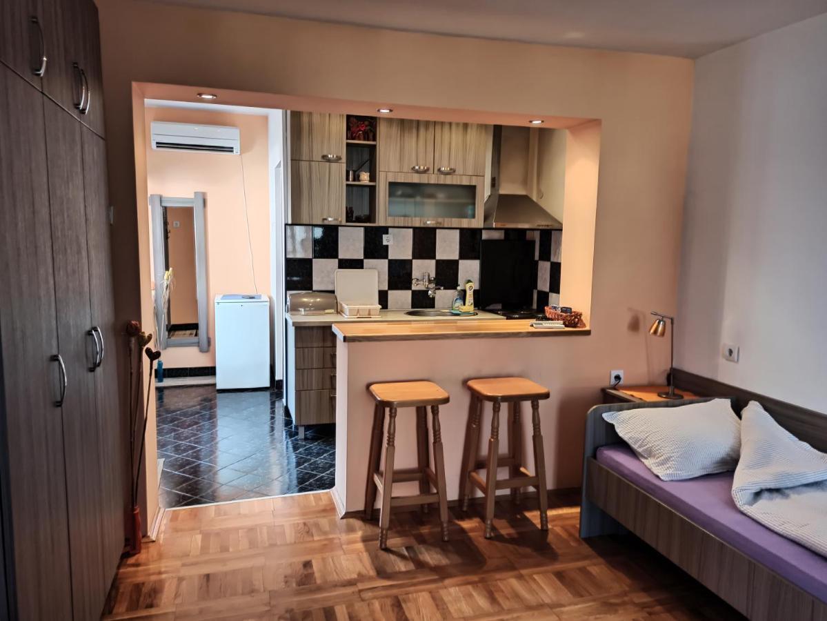 Apartman Ristic นิชกา บานยา ภายนอก รูปภาพ