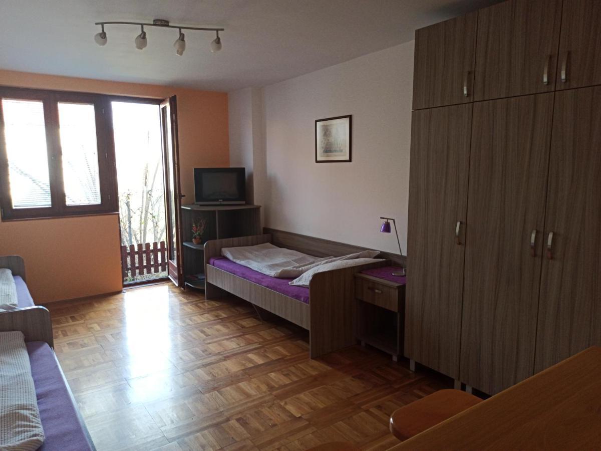Apartman Ristic นิชกา บานยา ภายนอก รูปภาพ